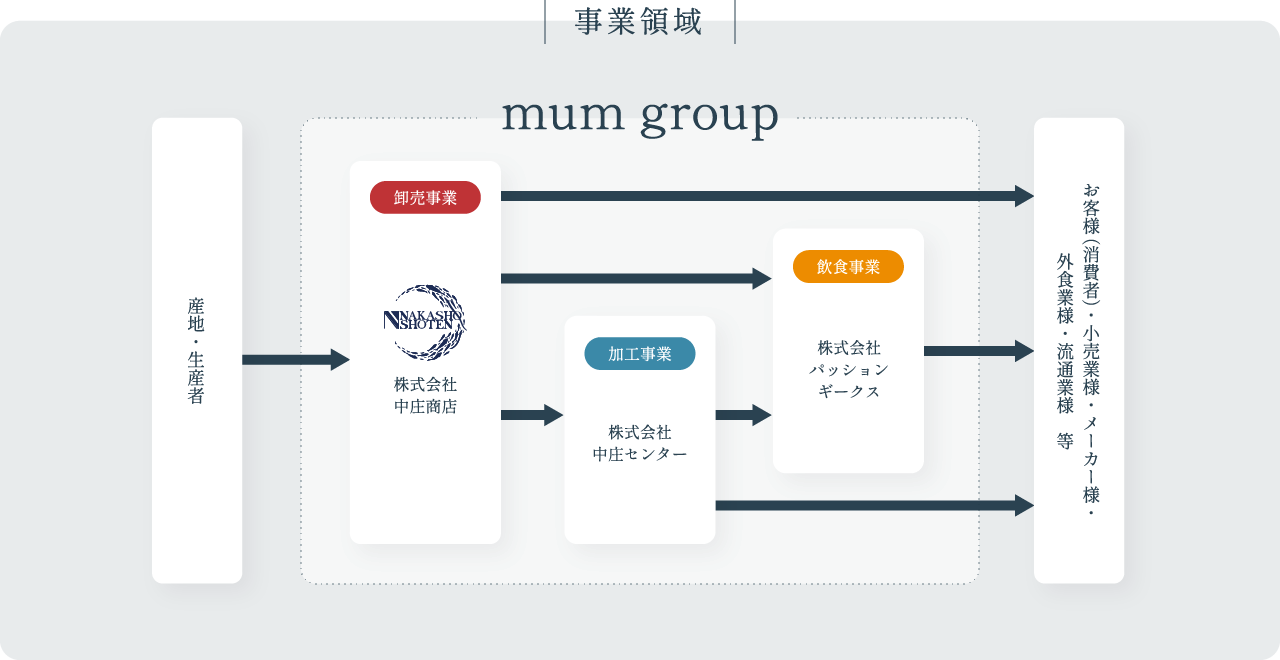 事業領域